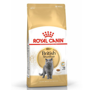 Royal Canin FBN BRITISH SHORTHAIR sausā kaķu barība 10kg
