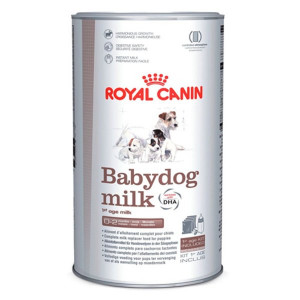 Royal Canin SHN BABYDOG MILK sauss piens kucēniem 400g
