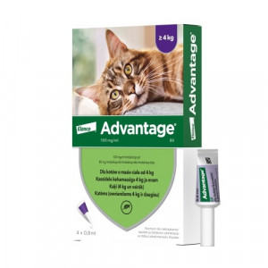 ADVANTAGE 80MG 10% ŠĶĪDUMS 0.8ML KAĶIEM VIRS 4KG N4