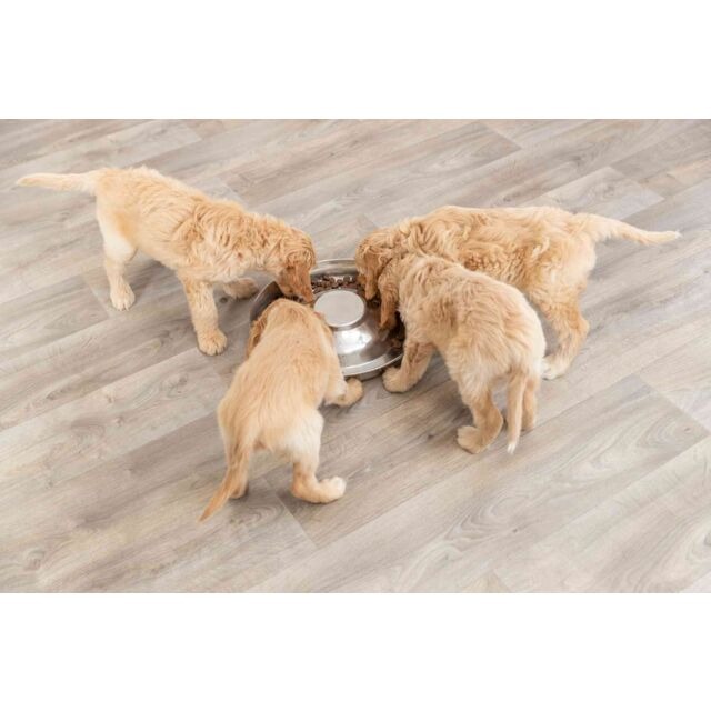 TRIXIE PUPPY BOWL bļoda kucēniem 1.4L 29cm