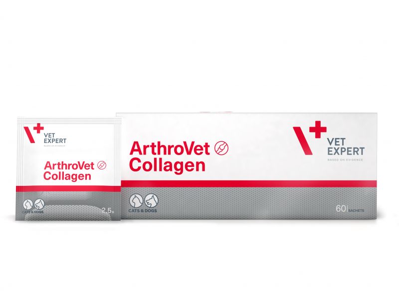 VetExpert ArthroVet Collagen pulveris locītavām suņiem un kaķiem paciņas N60