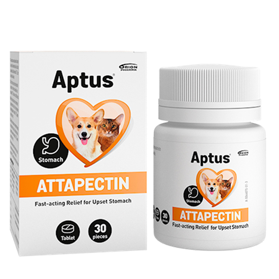 Aptus Attapectin tabletes pret caureju suņiem un kaķiem N30