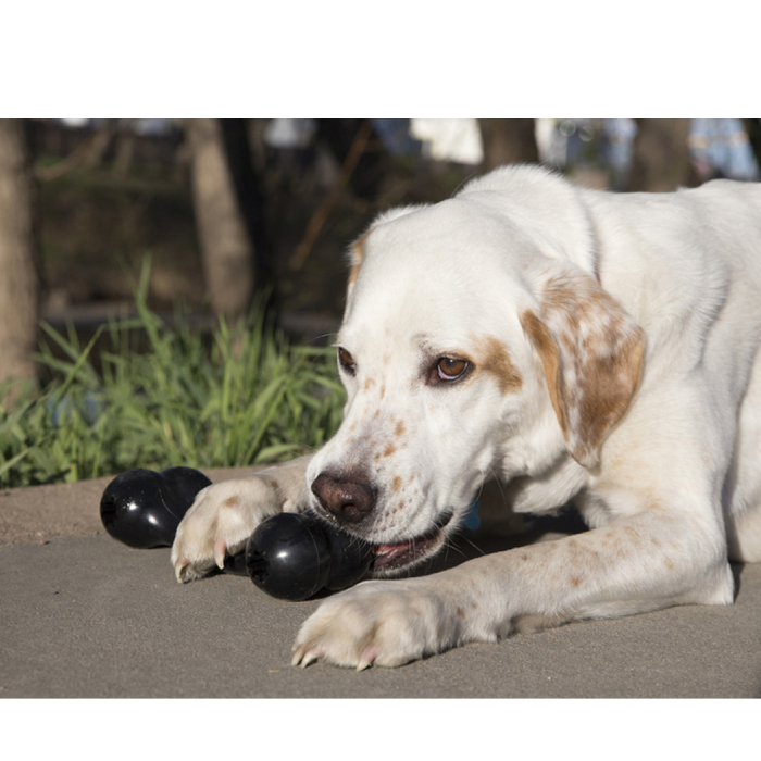 KONG EXTREME GOODIE BONE rotaļlieta suņiem M 17cm