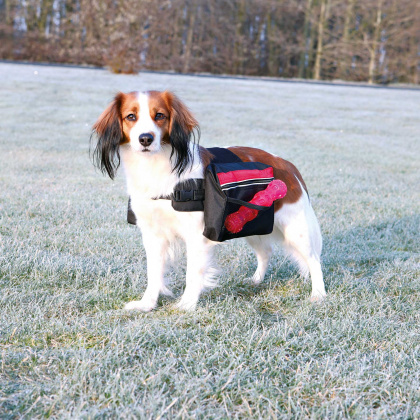 TRIXIE BACKPACK suņu mugursoma M 23x15cm