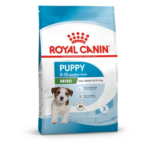 ROYAL CANIN SHN MINI PUPPY sausā kucēnu barība 800g