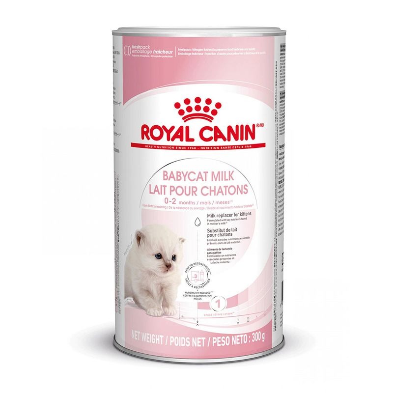 Royal Canin Babycat Milk piena aizvietotājs jaundzimušiem kaķēniem 300 g