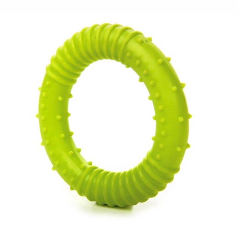 JK suņu rotaļlieta TPR GREDZENS SMALL DOG GREEN 8cm