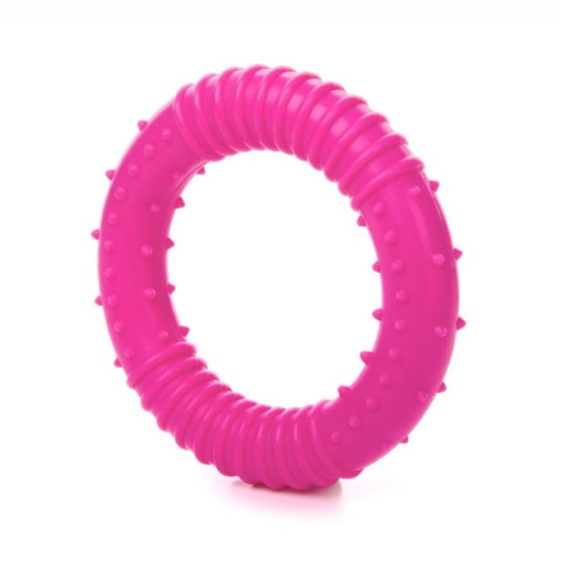 JK suņu rotaļlieta TPR GREDZENS SMALL DOG PINK 8cm