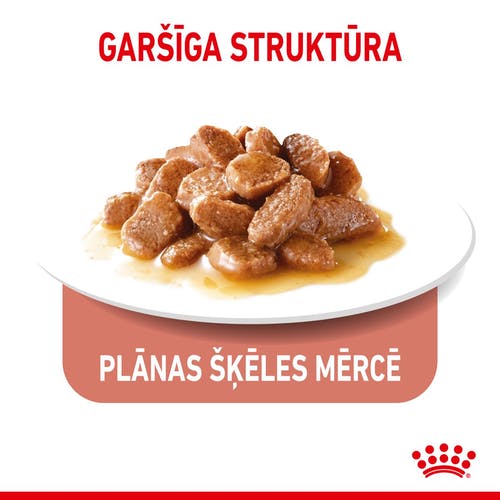 Royal Canin APPETITE CONTROL GRAVY kaķu konservi mērcē 85g x12