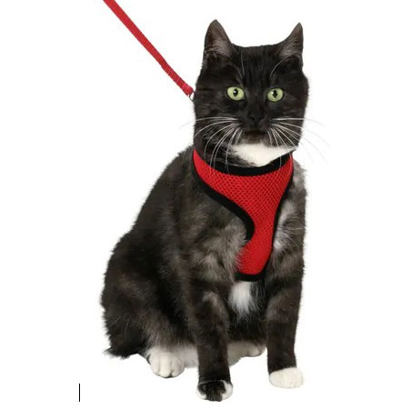 Flamingo kaķu iemaukti krūšu siksna ar pavadu KITTEN S 10mm 110cm