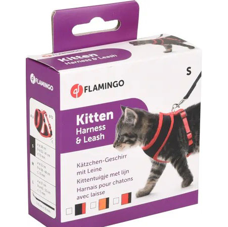 Flamingo kaķu iemaukti krūšu siksna ar pavadu KITTEN S 10mm 110cm