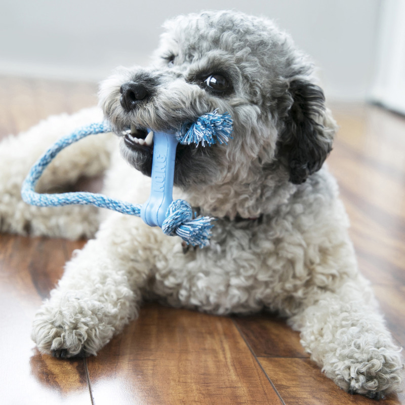 KONG PUPPY GOODIE BONE rotaļlieta suņiem ar virvi XS 8cm