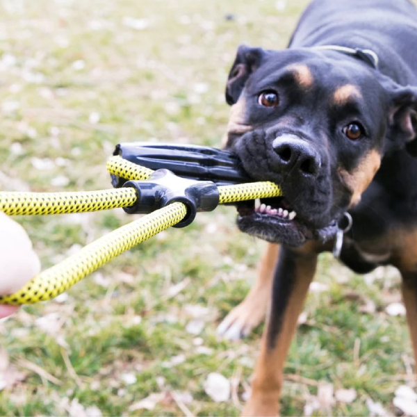 KONG JAXX INFINITY TUG rotaļlieta suņiem izturīga ar virvi un rokturi L 40cm