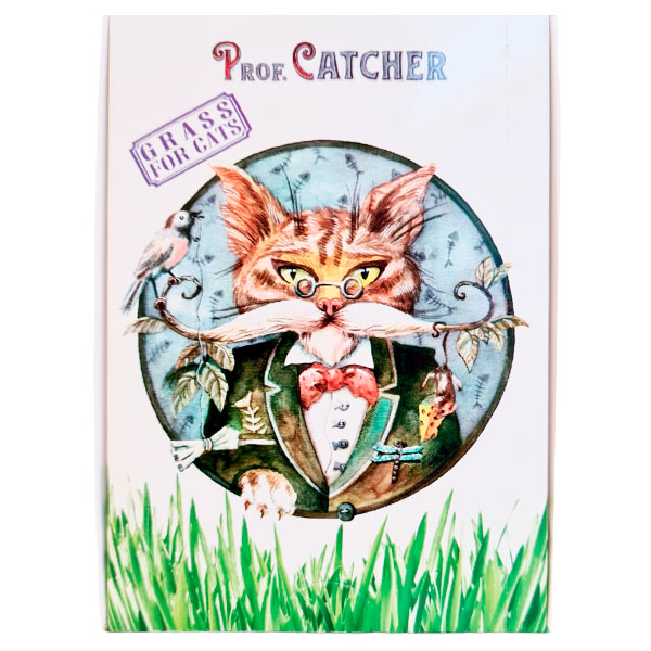 Prof. Catcher Cat kaķu zāle komplekts ar ceolītu zāles diedzēšanai kaķiem