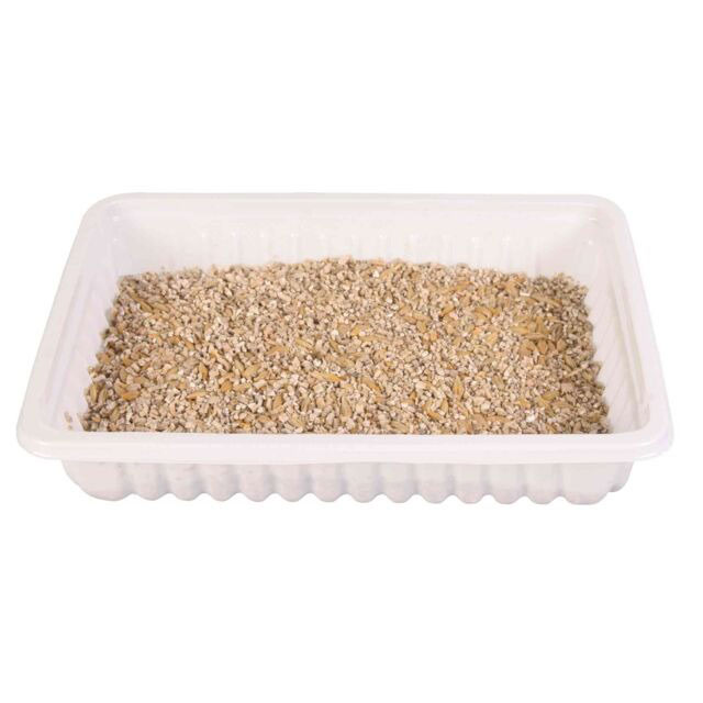 Trixie Cat Softgrass papildbarība kaķiem Kaķu zāle sēklas bļodiņā 100g