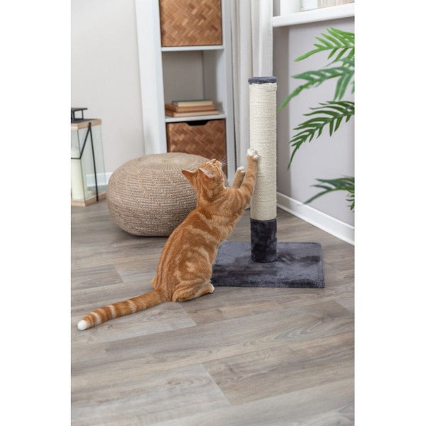 TRIXIE BATRES Nagu asināmais kaķiem Stabs Grey 62cm