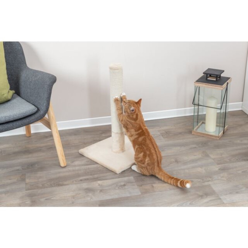 TRIXIE BATRES Nagu asināmais kaķiem Stabs Beige 62cm