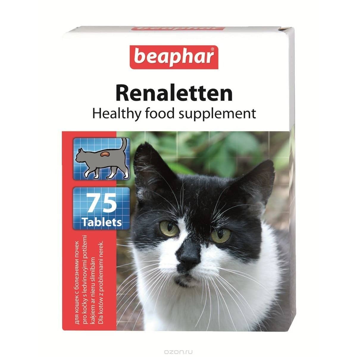 BEAPHAR RENALETTEN papildbarība kaķiem Nieru slimības N75