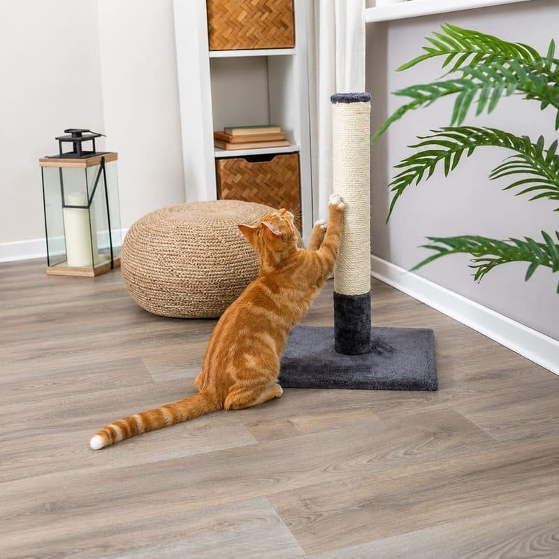 Trixie Batres Platinum Grey džutas nagu asināmais kaķiem 62 cm