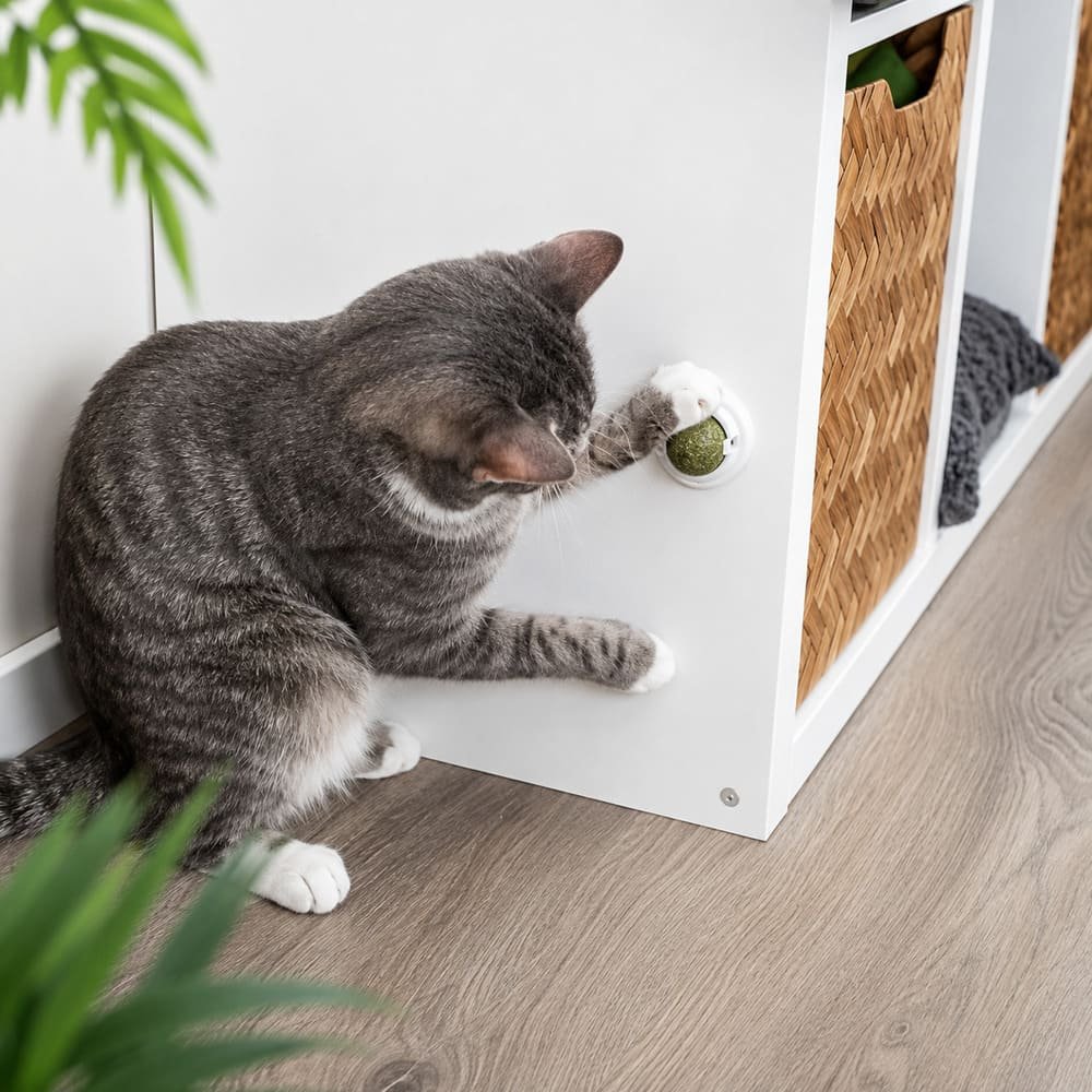 Trixie Catnip kaķumētras bumbiņa kaķiem ar pašlīmējošu turētāju Ø 5 cm