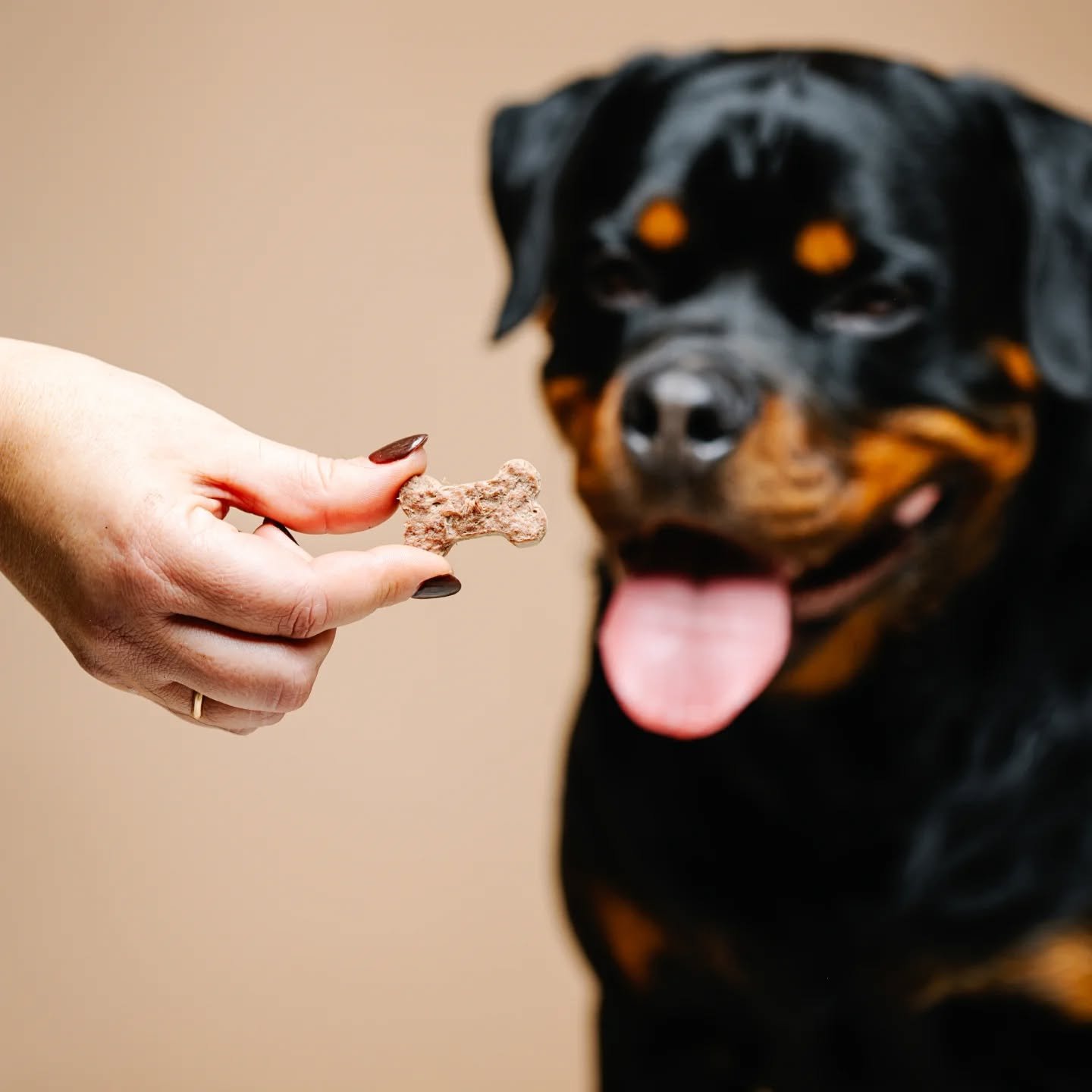 Marko Delights Raw Crunchy Bones liofilizēti gardumi suņiem no liellopa kuņģa un gaļas 50 g