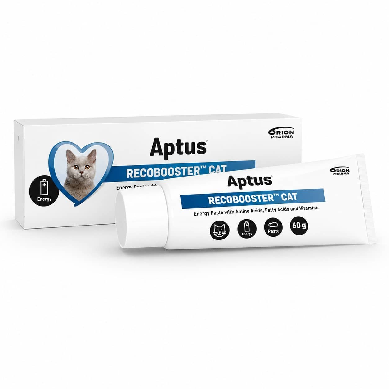 Aptus RecoBooster Cat enerģijas pasta kaķiem 60 g