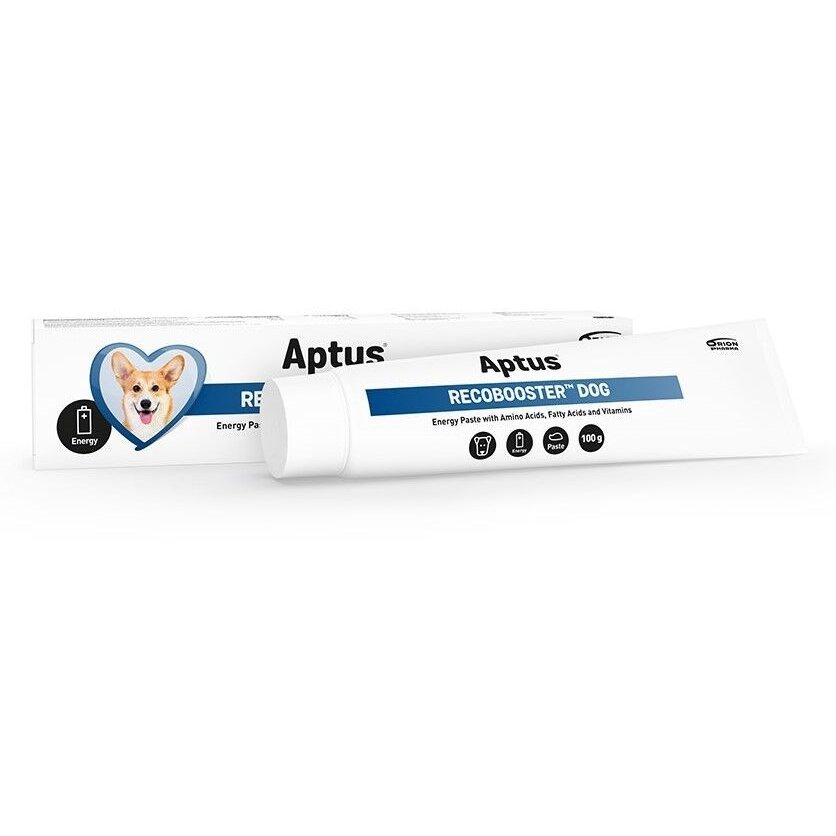 Aptus RecoBooster Dog enerģijas pasta suņiem 100 g