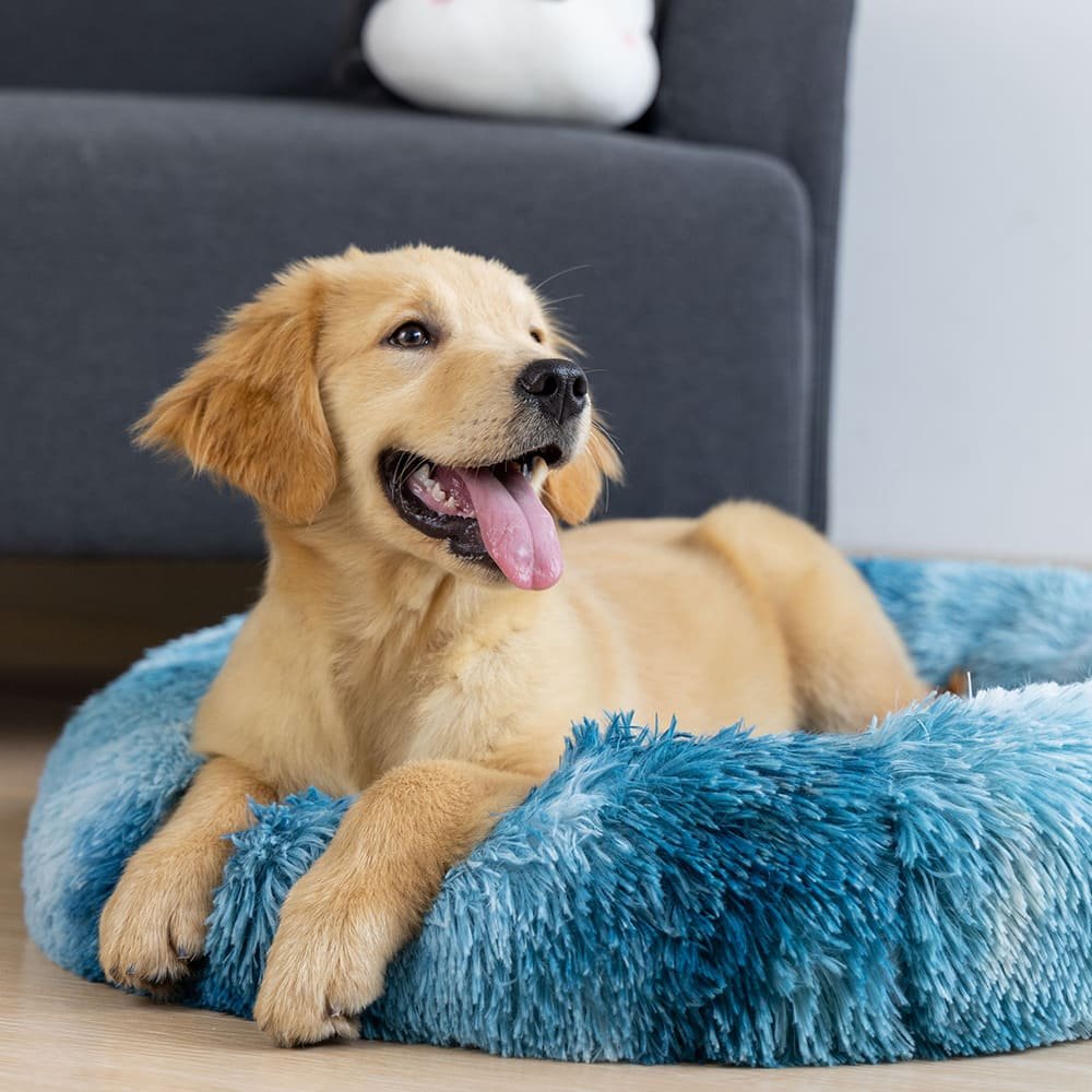 UniQ Pets suņu guļvieta mājīga zila M 60 × 60 × 15 cm līdz 9 kg