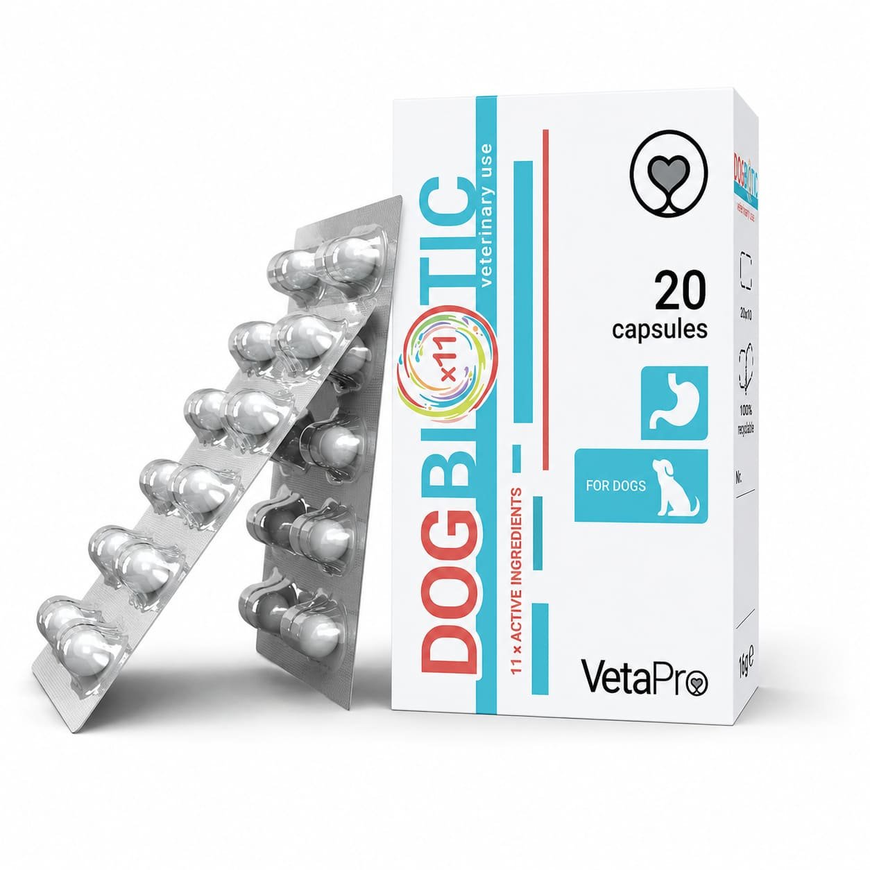 VetaPro Dogbiotic probiotikas gremošanai suņiem N20