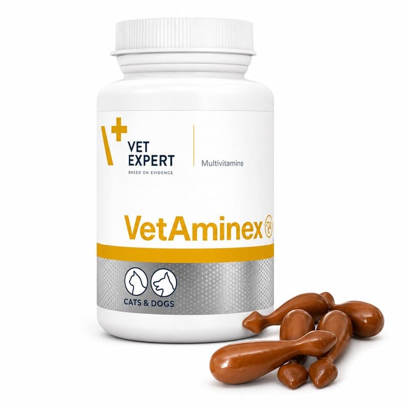 VetExpert Vetaminex vitamīni un minerālvielas suņiem un kaķiem N60