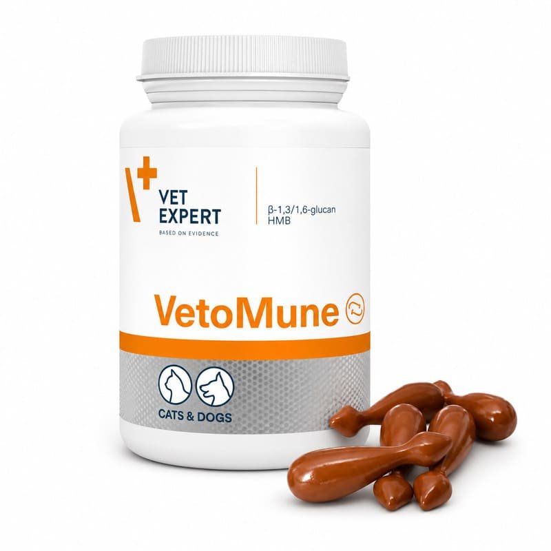 VetExpert Vetomune vitamīni imunitātei suņiem un kaķiem N60