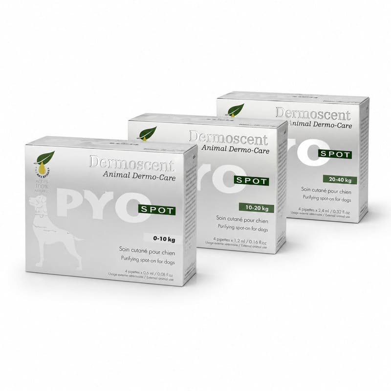 Dermoscent PYOClean pilieni brūču kopšanai un dzīšanai suņiem līdz 10 kg 0.6 ml N4