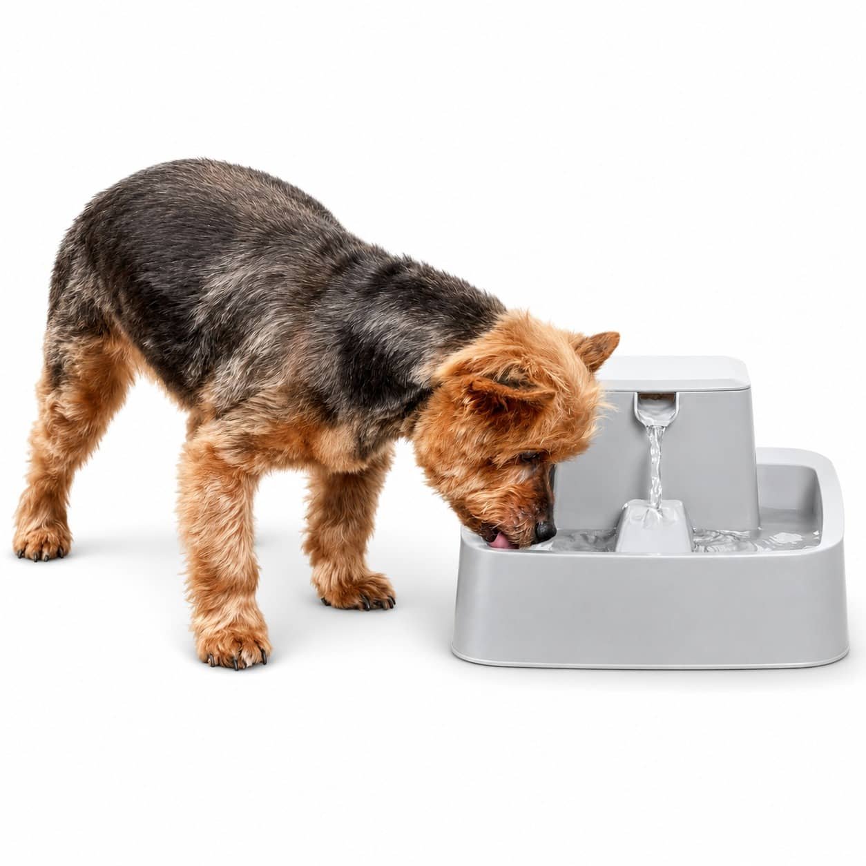 PetSafe Drinkwell automātiskā dzirdinātava suņiem un kaķiem 1.8 L