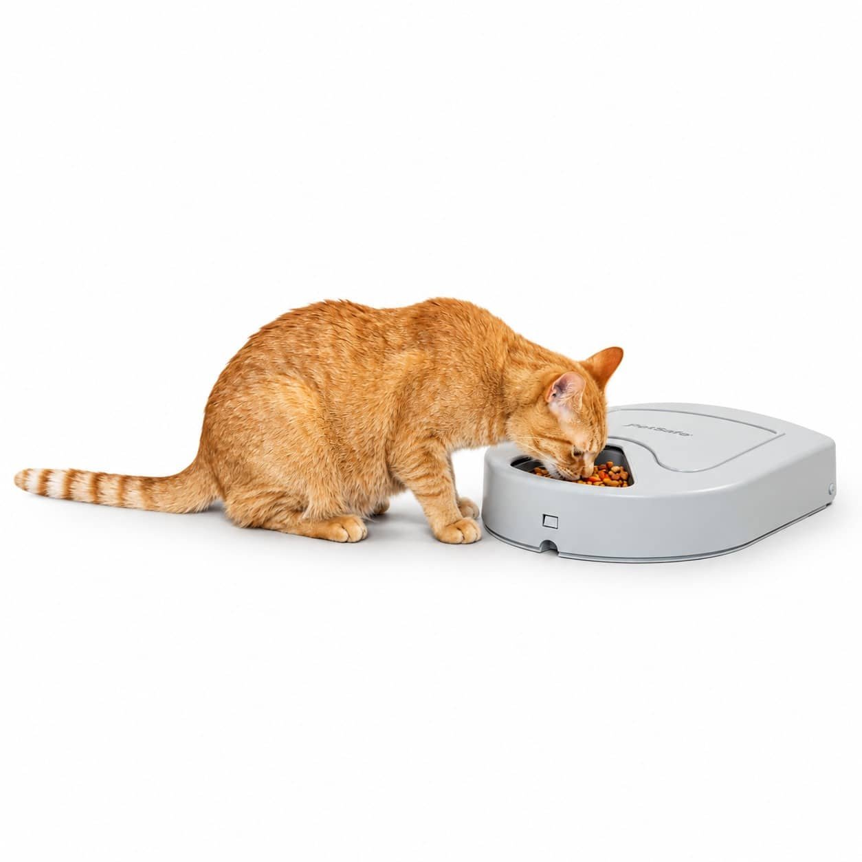 PetSafe Eatwell automātiskā barotava suņiem un kaķiem 5 ēdienreizēm
