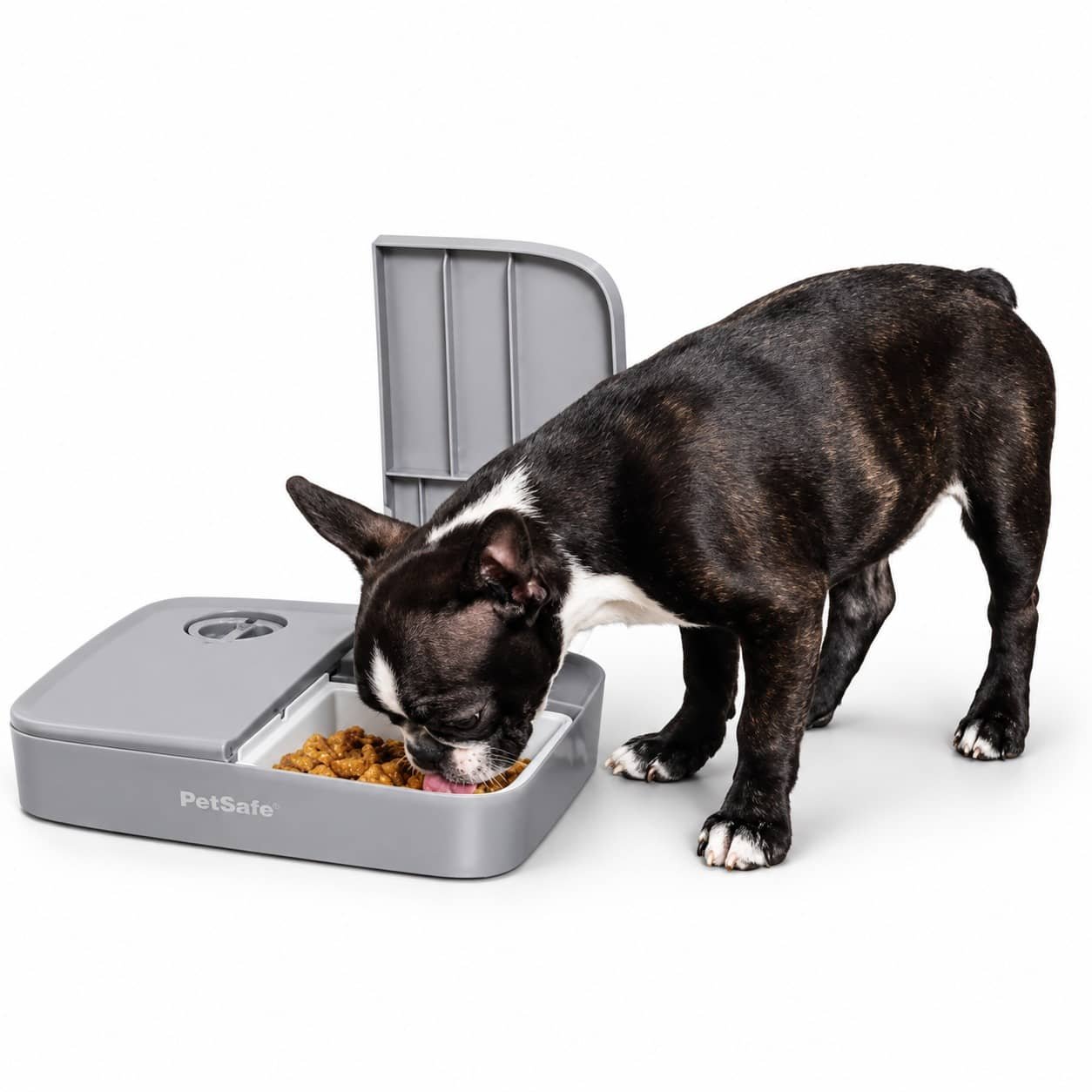 PetSafe Eatwell automātiskā barotava suņiem un kaķiem 2 ēdienreizēm