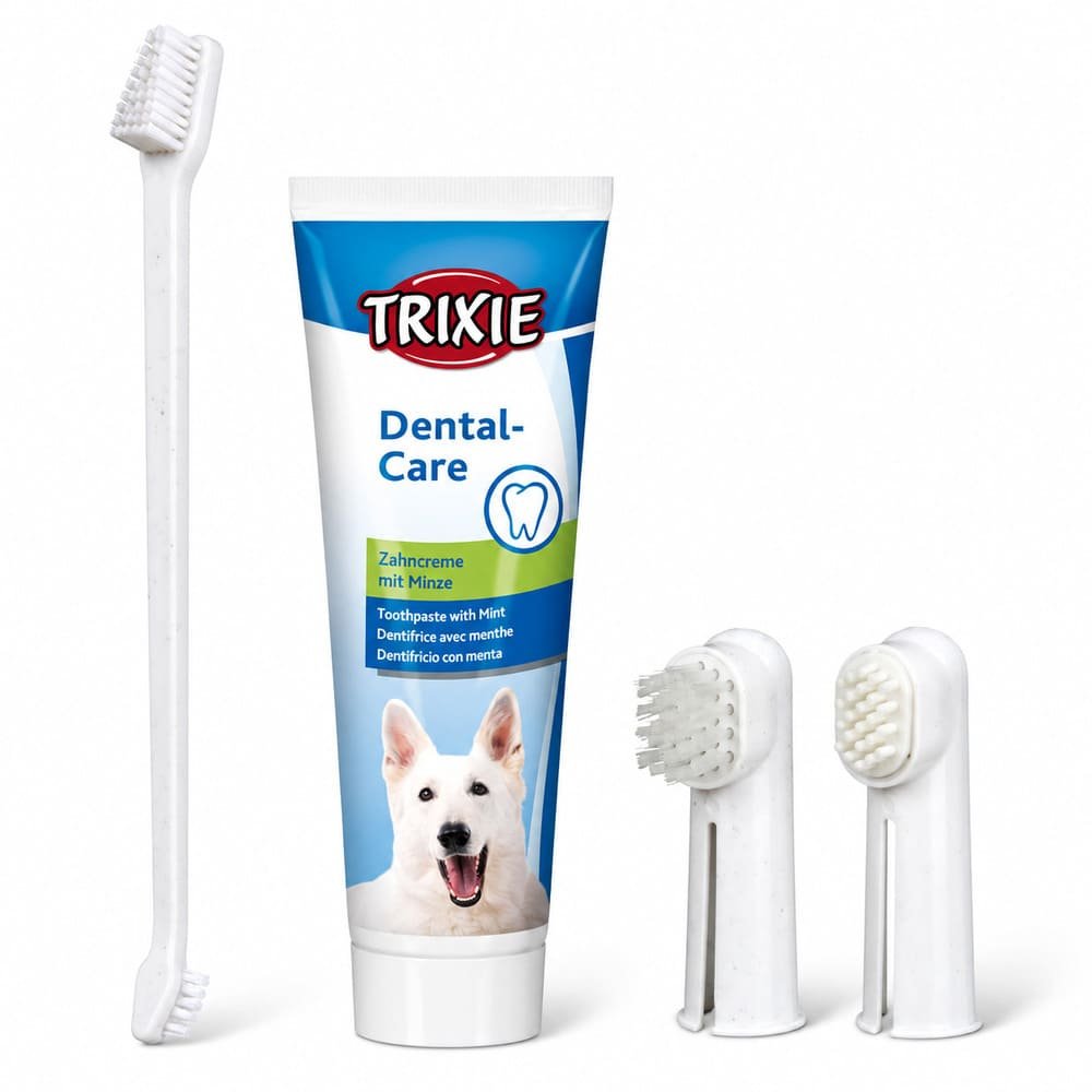 Trixie Dental Hygiene zobu kopšanas komplekts suņiem ar piparmētru pastu un trim birstēm